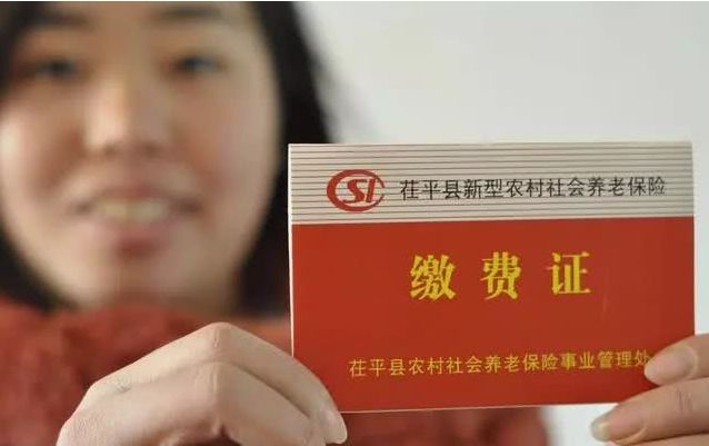 注意了,农村一次性缴养老保险15年,60岁后每月能领到千元