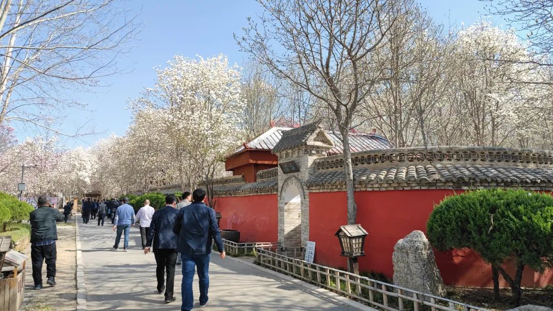 成都绿化花卉苗木有哪些