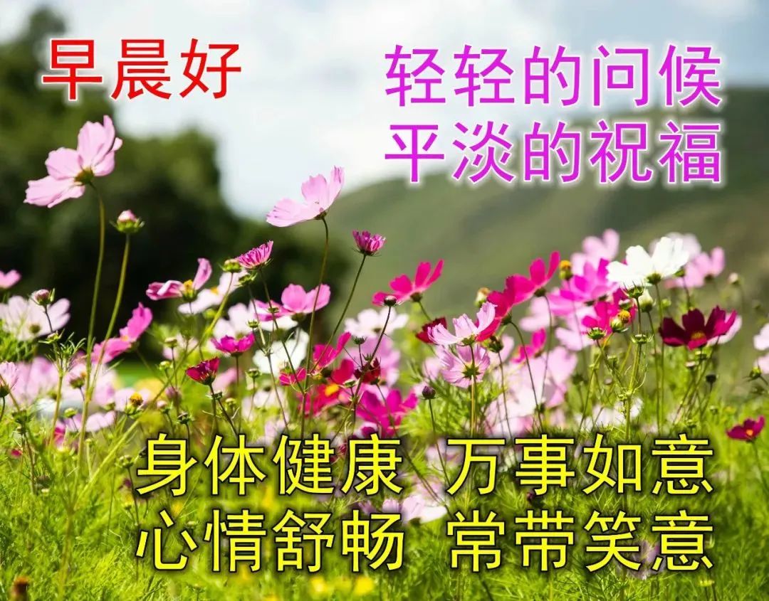 早晨問候大家早安的句子圖片,2023最美的早上好祝福表情