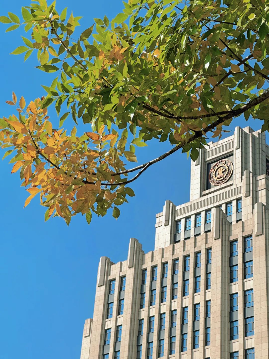 西安高校的专属限定美景,快来收藏