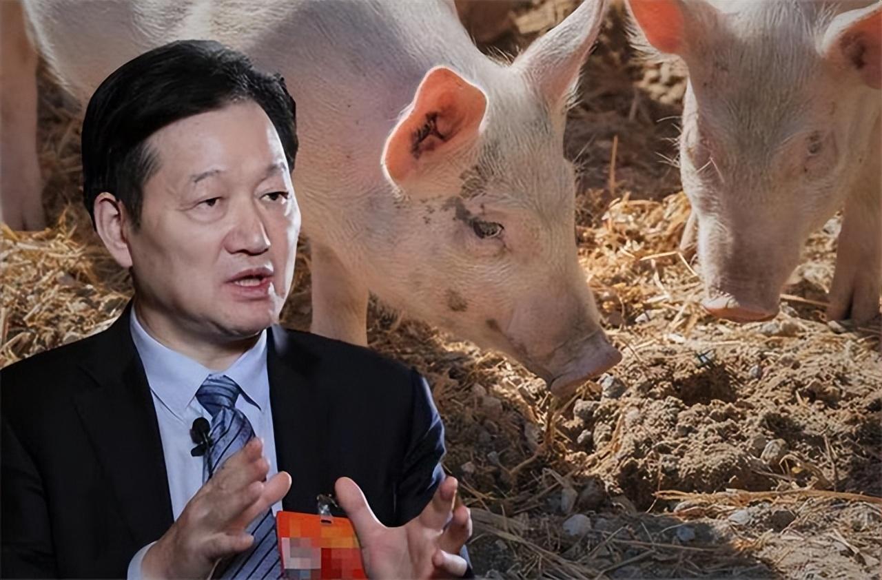 回顾弟弟把彩礼借哥哥养猪如今哥哥赚2千亿弟弟却是普通人