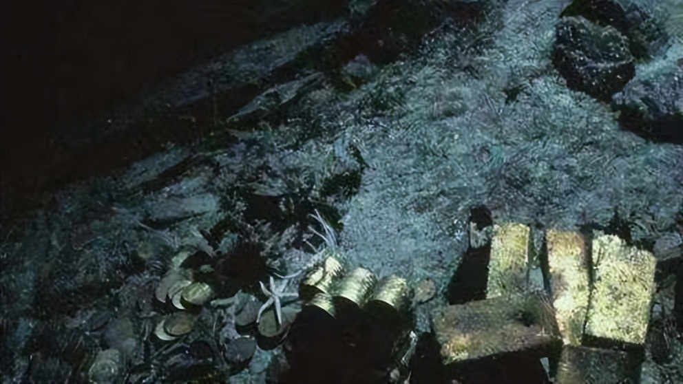 1945年日本"阿波丸"号沉没我国,满载50亿货物,打捞结果如何?