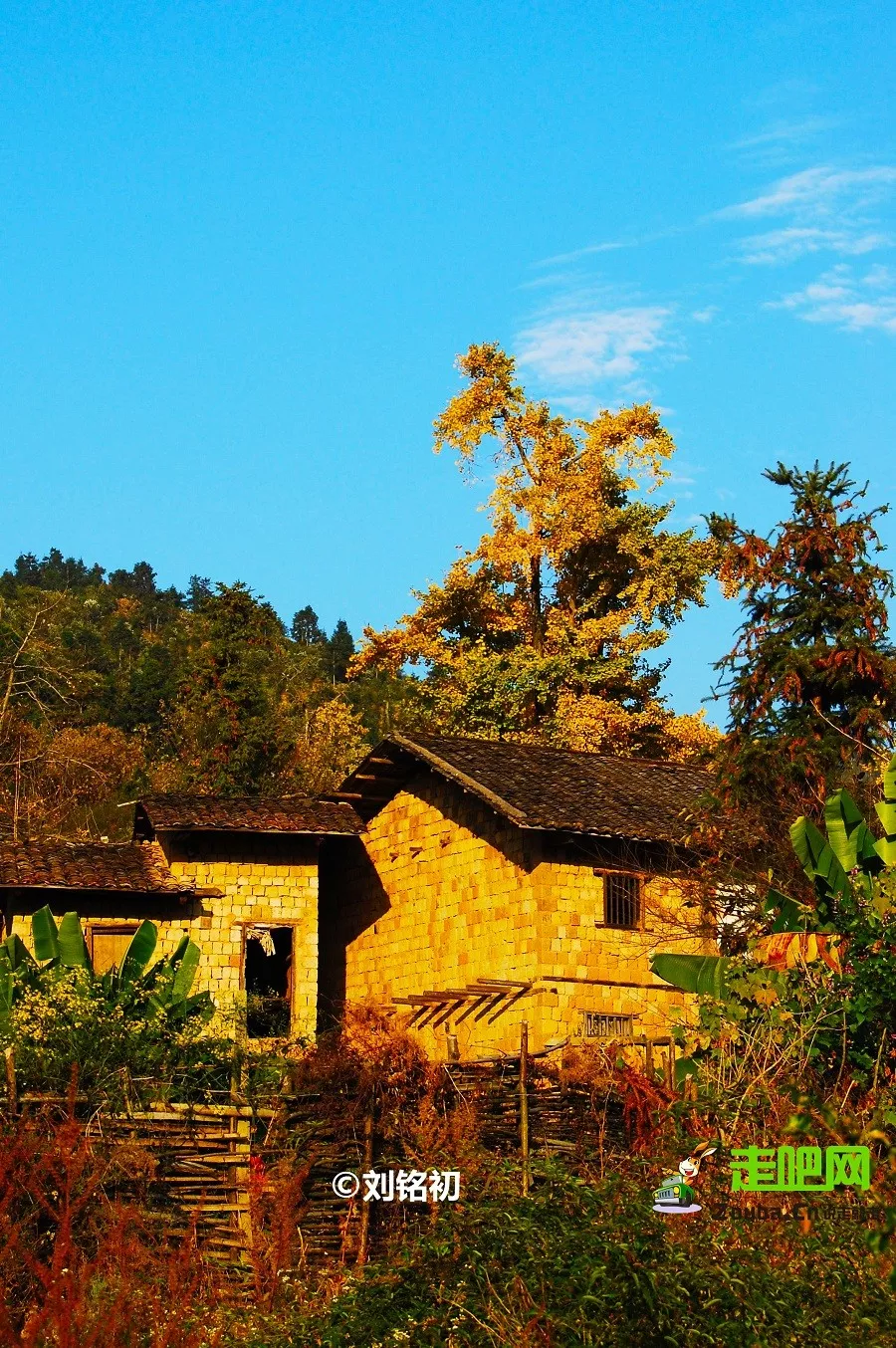秋天村庄的景色图片