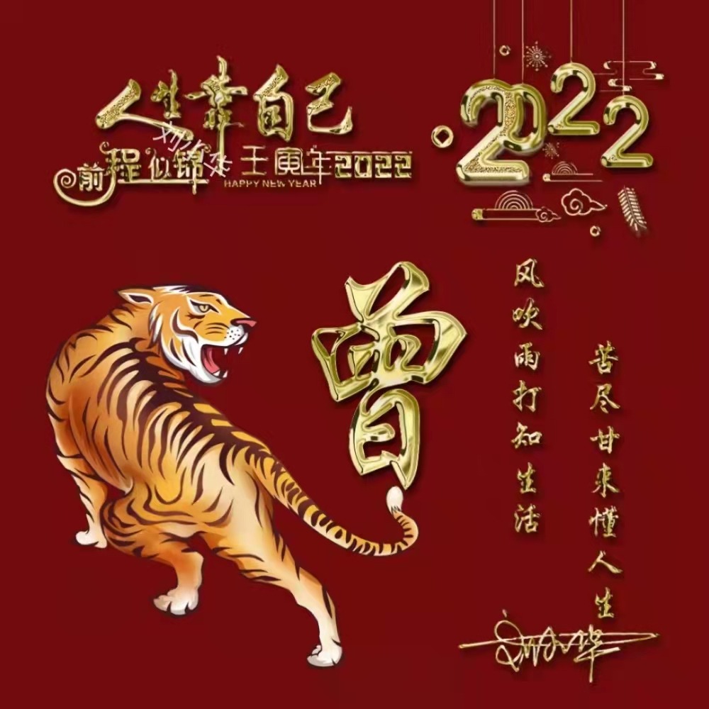 2022新年姓氏微信头像,3d霸气虎大气个性签名头像,有你的吗?