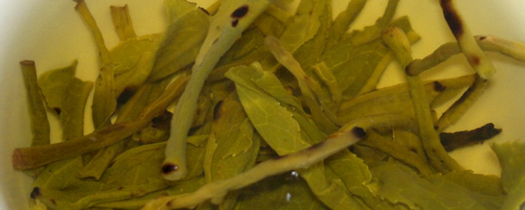 广东大叶青茶叶的冲泡方法