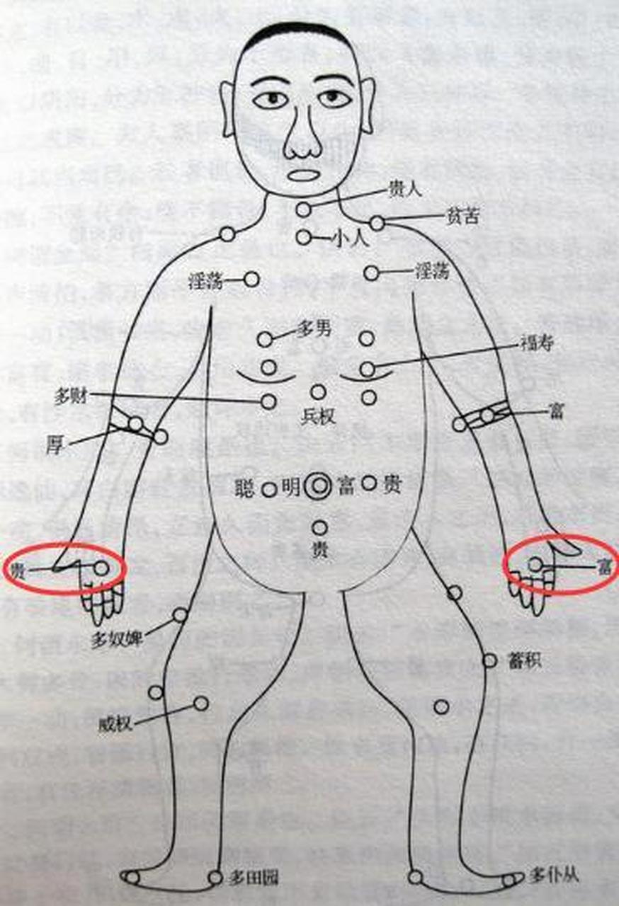 金匮长痣图片