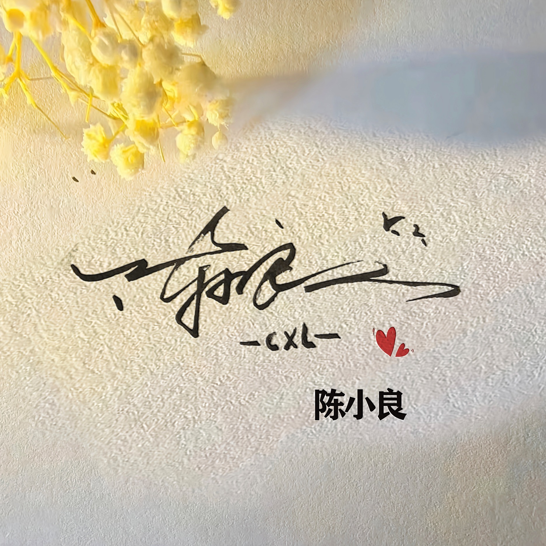 不忘初心微信头像姓氏(不忘初心微信头像制作)