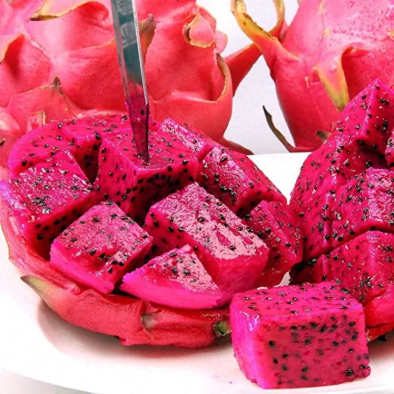 温室火龙果产期调控技术:推动高效生产与市场供应的突破