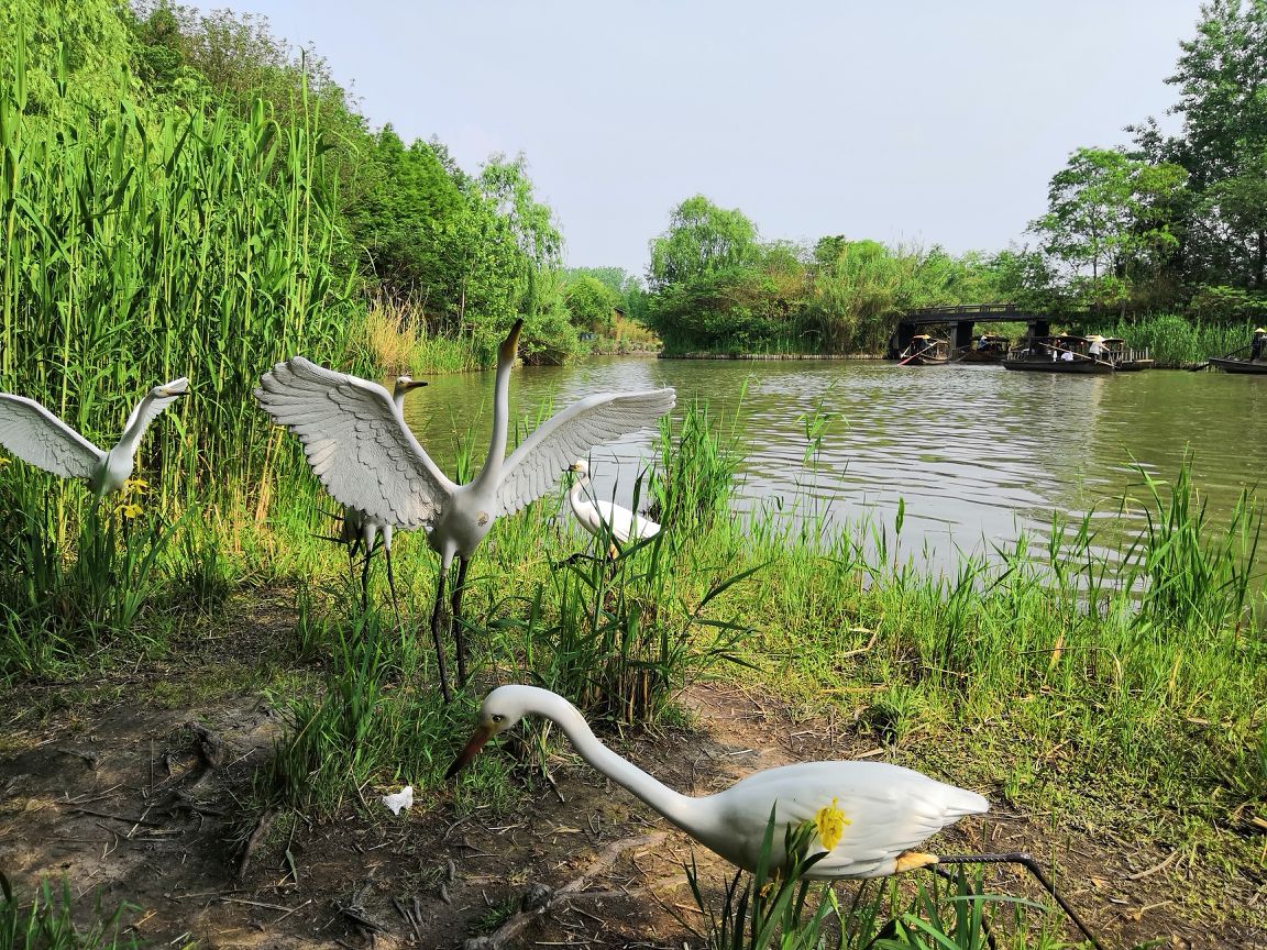 江苏5a旅游景区,因"昔多喜鹊飞集"而得名,被誉为"泰州明珠"