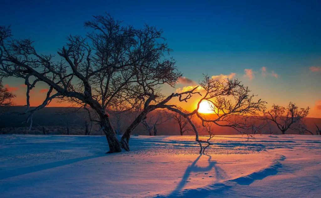 国际旅游摄影网摄影师风采->徐生彬