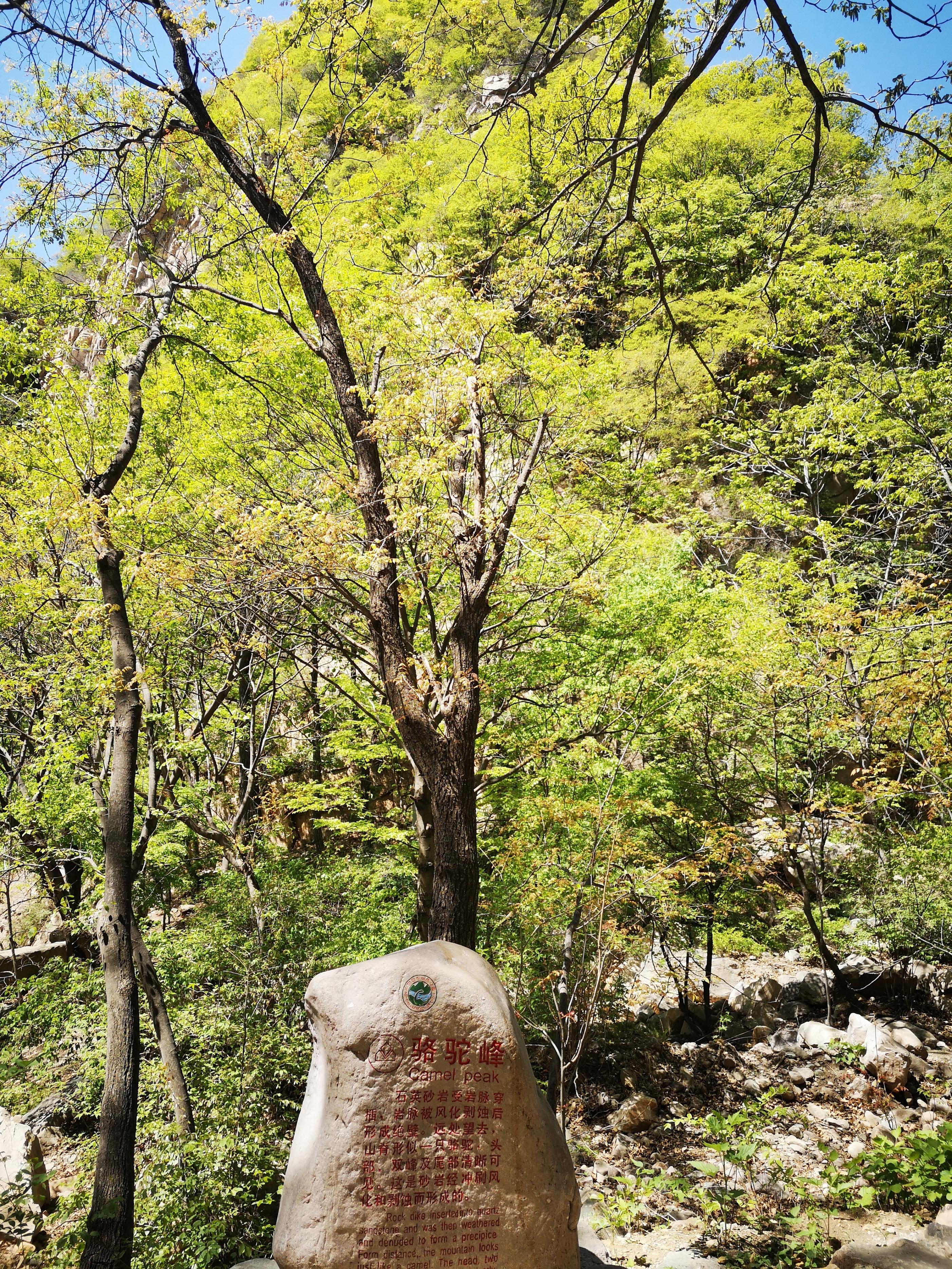 天津梨木台风景区旅游图片