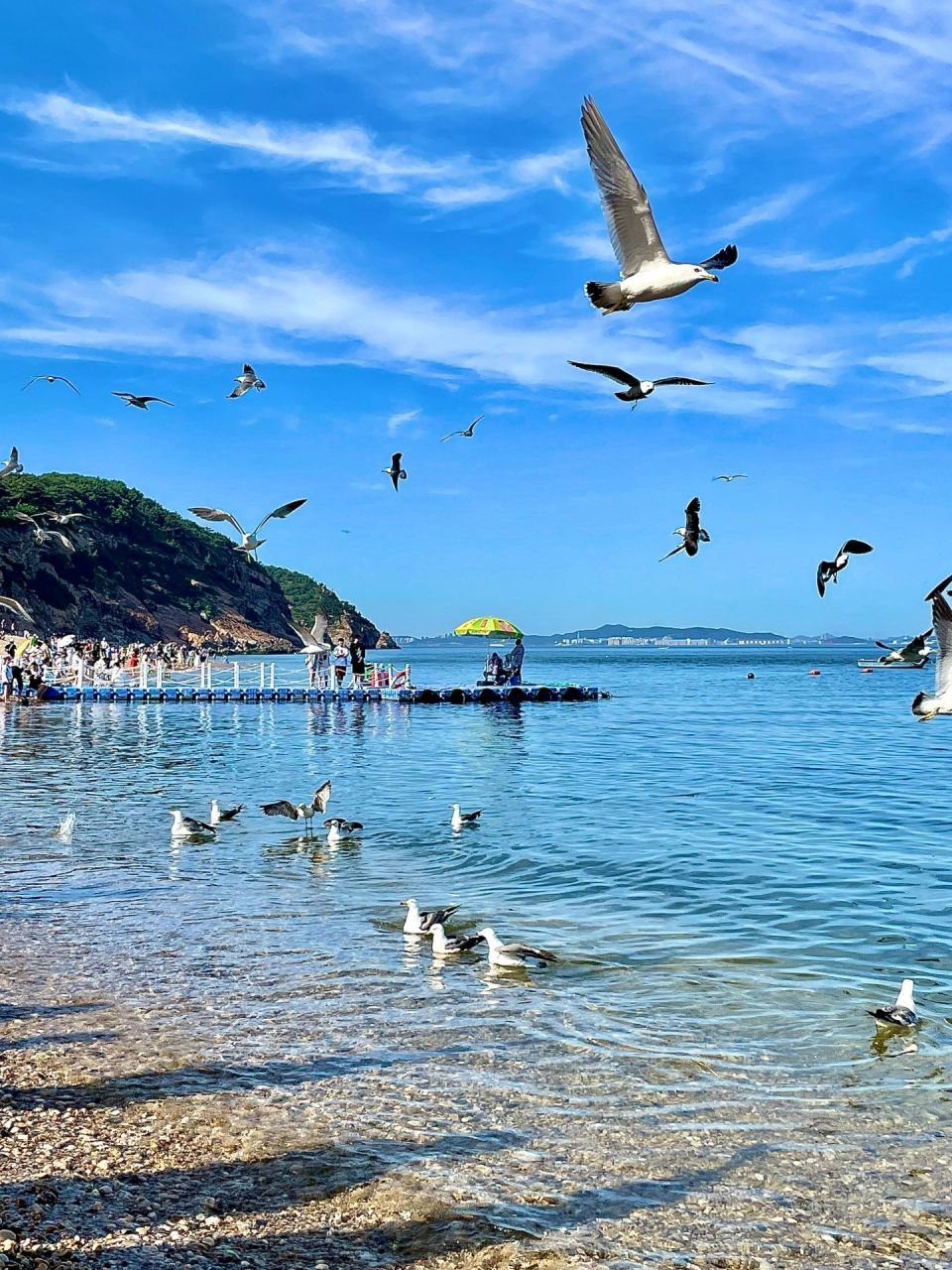 大连棒槌岛15最强攻略 - 棒槌岛也称为棒槌岛国宾馆景区 曾经是中央