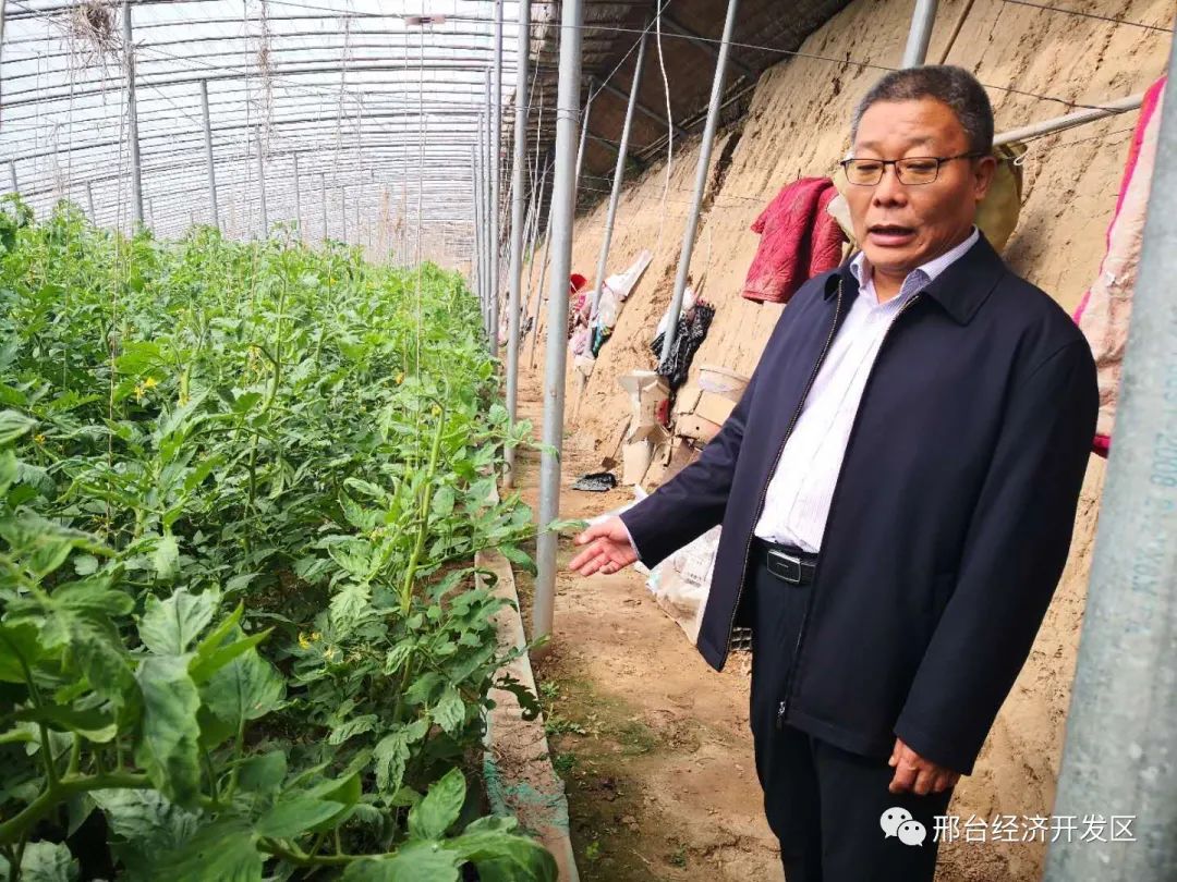 戎阳到市开发区调研督导农民增收和人居环境整治工作