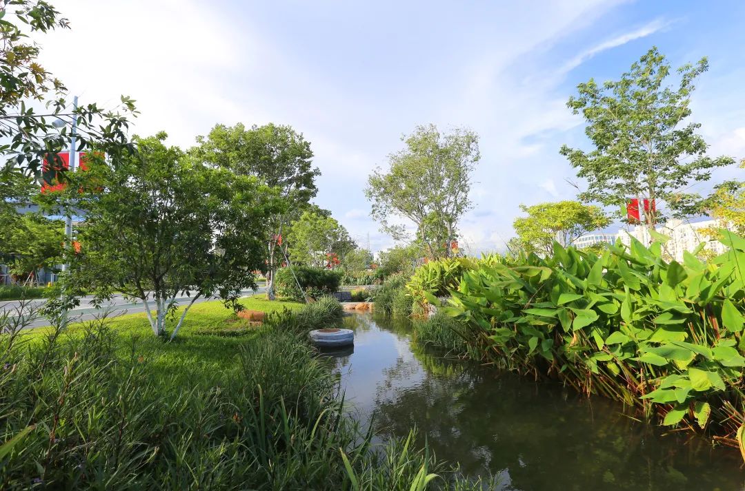深圳蚝乡湖公园丨正和生态塑造弹性再生的河口水岸