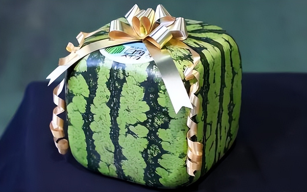 日本出现的方形西瓜,到底有什么奥秘?