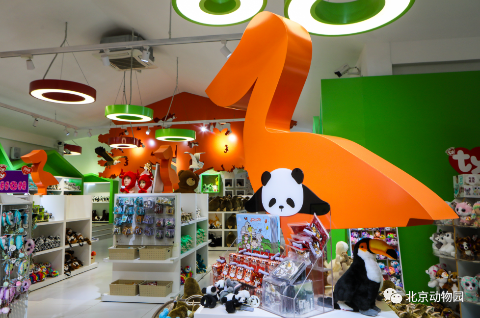 快来为北京动物园助力!2022北京网红打卡地——鹈鹕商店