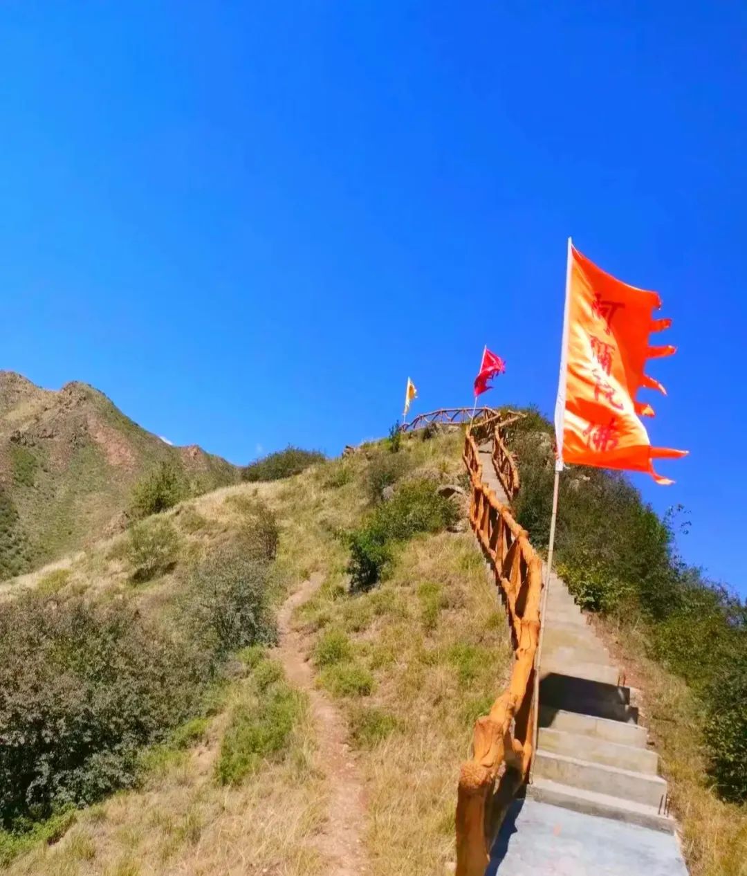 秋游临夏,来抱龙山收获一波美景