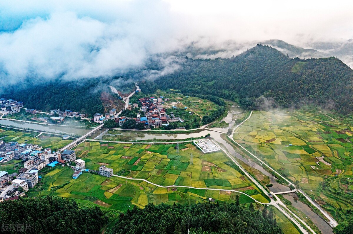 广西融水苗族自治县大苗山稻田丰收在望,美景令人陶醉