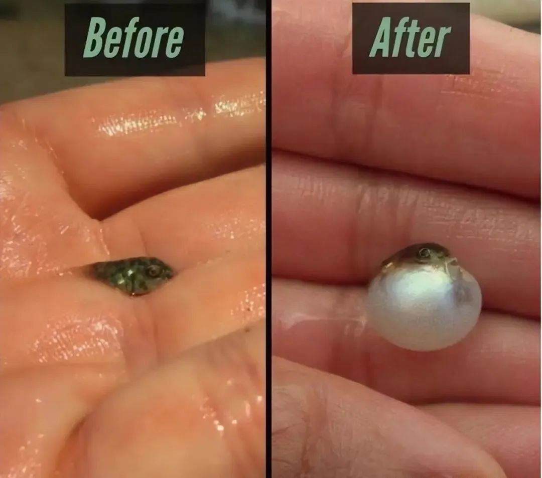 38张对比照片展示同一事物惊人的变化