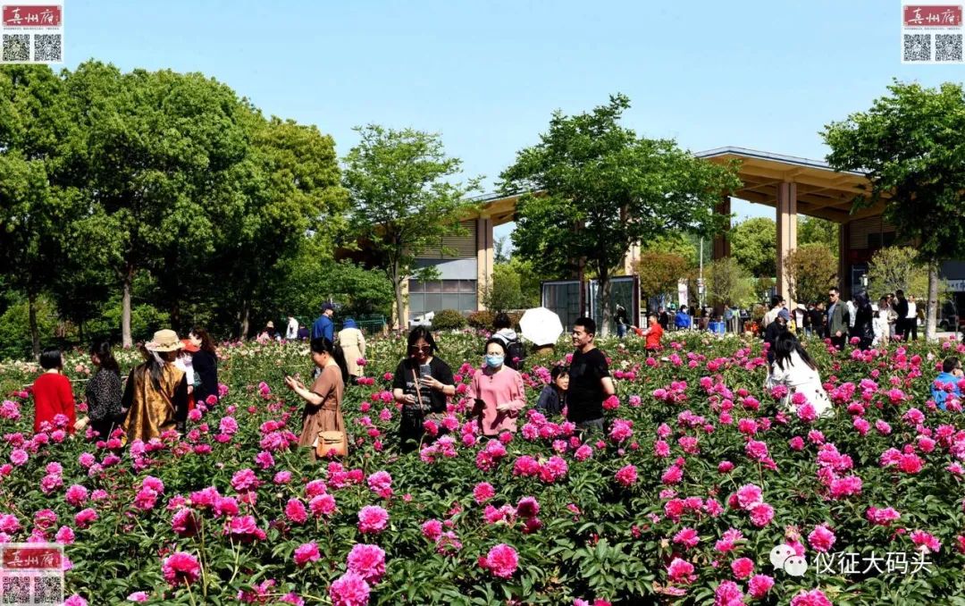 仪征枣林湾旅游景点昨游人如织