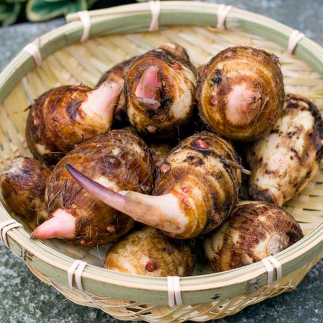 江西铅山有着"中国红芽芋之乡"的美称,铅山县位于江西省东部,地处赣