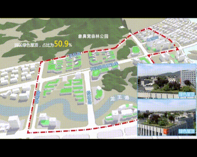 象鼻窝森林公园