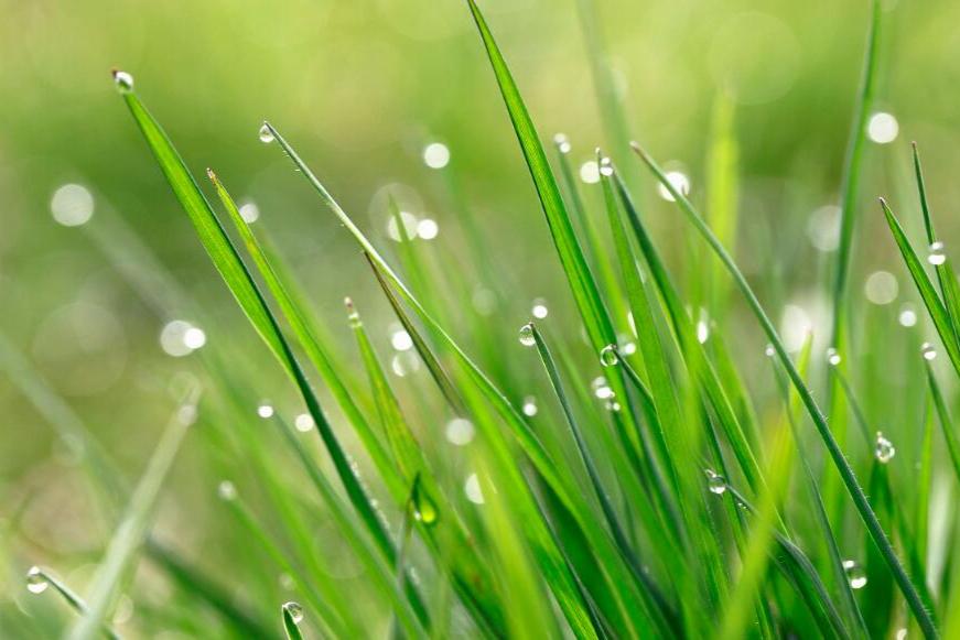 城府极深的星座,看似简单,却有拿捏一切的本事,懂得隐藏自己