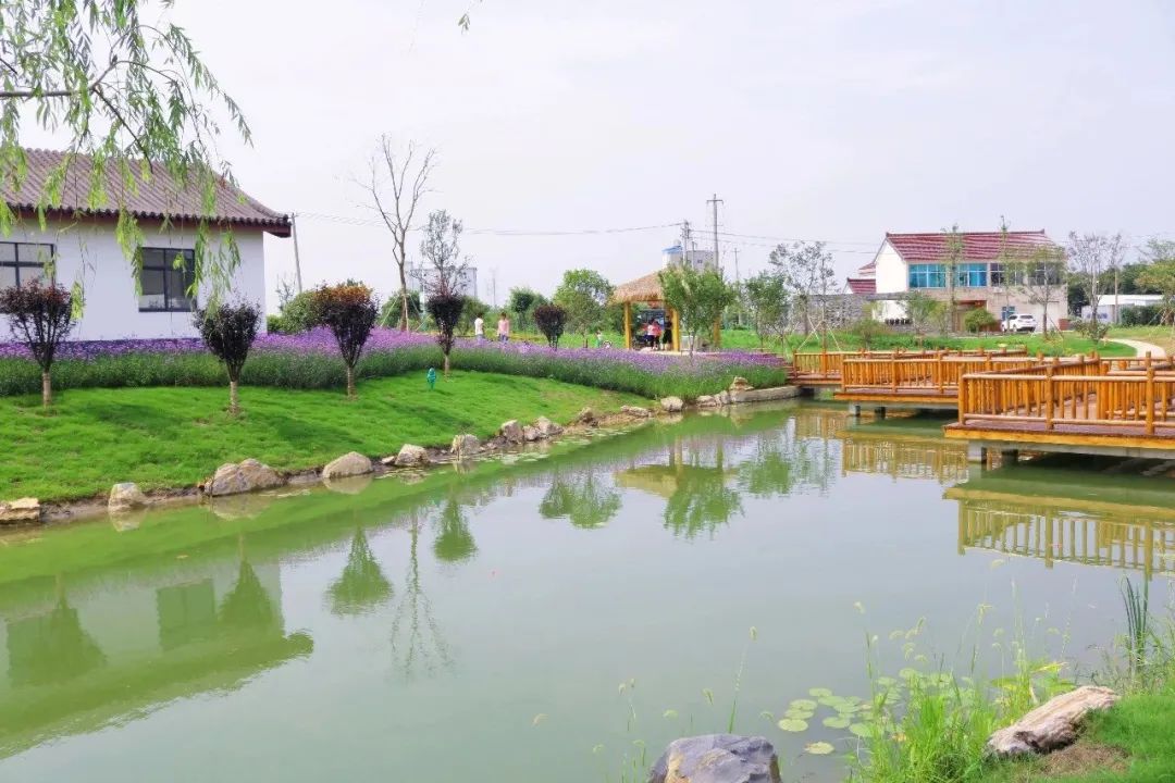 江苏省常州市武进区湟里镇葛庄村:小微水体 大家共治