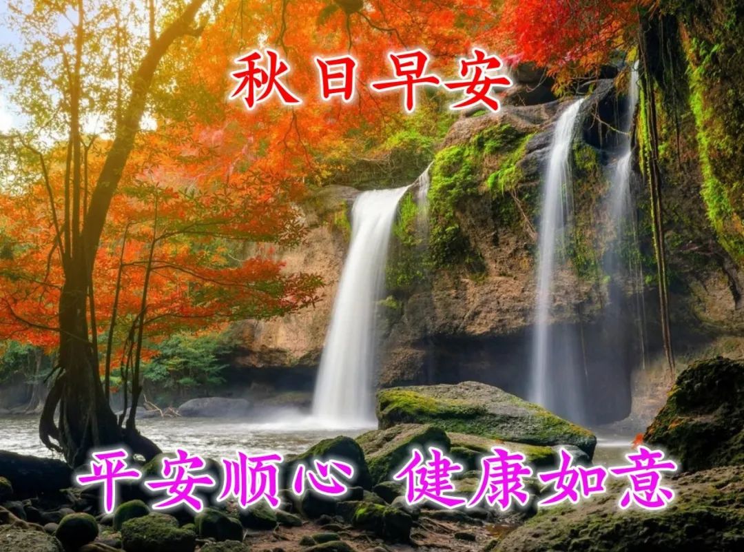 清晨祝福朋友早安暖心图片,祝你平安顺序健康如意