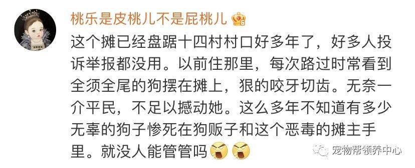 柴犬初七当街被偷走怎么回事柴犬初七事件始末凶手抓到了吗