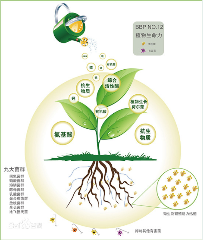 德国edenn螯合技术分析