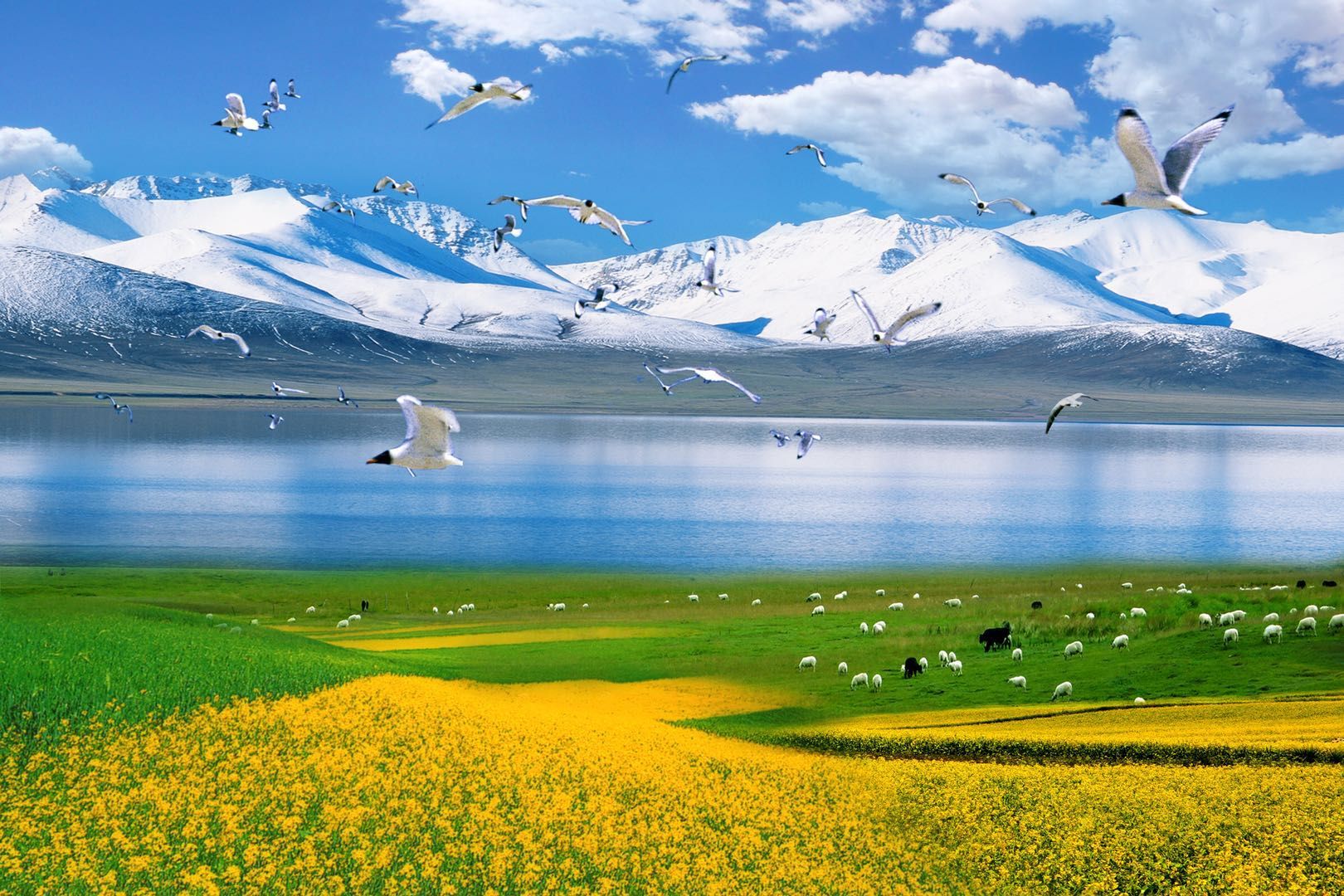 中国0确诊城市,各个都是旅游胜地,河北安徽上榜