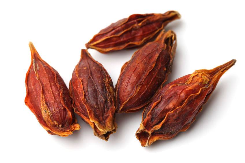 中药栀子煎水喝,对身体竟有3个好处,但要注意忌服事项