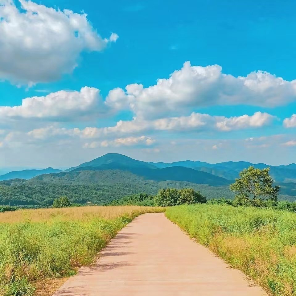 遍历山川,仍觉得人间值得 背景图>