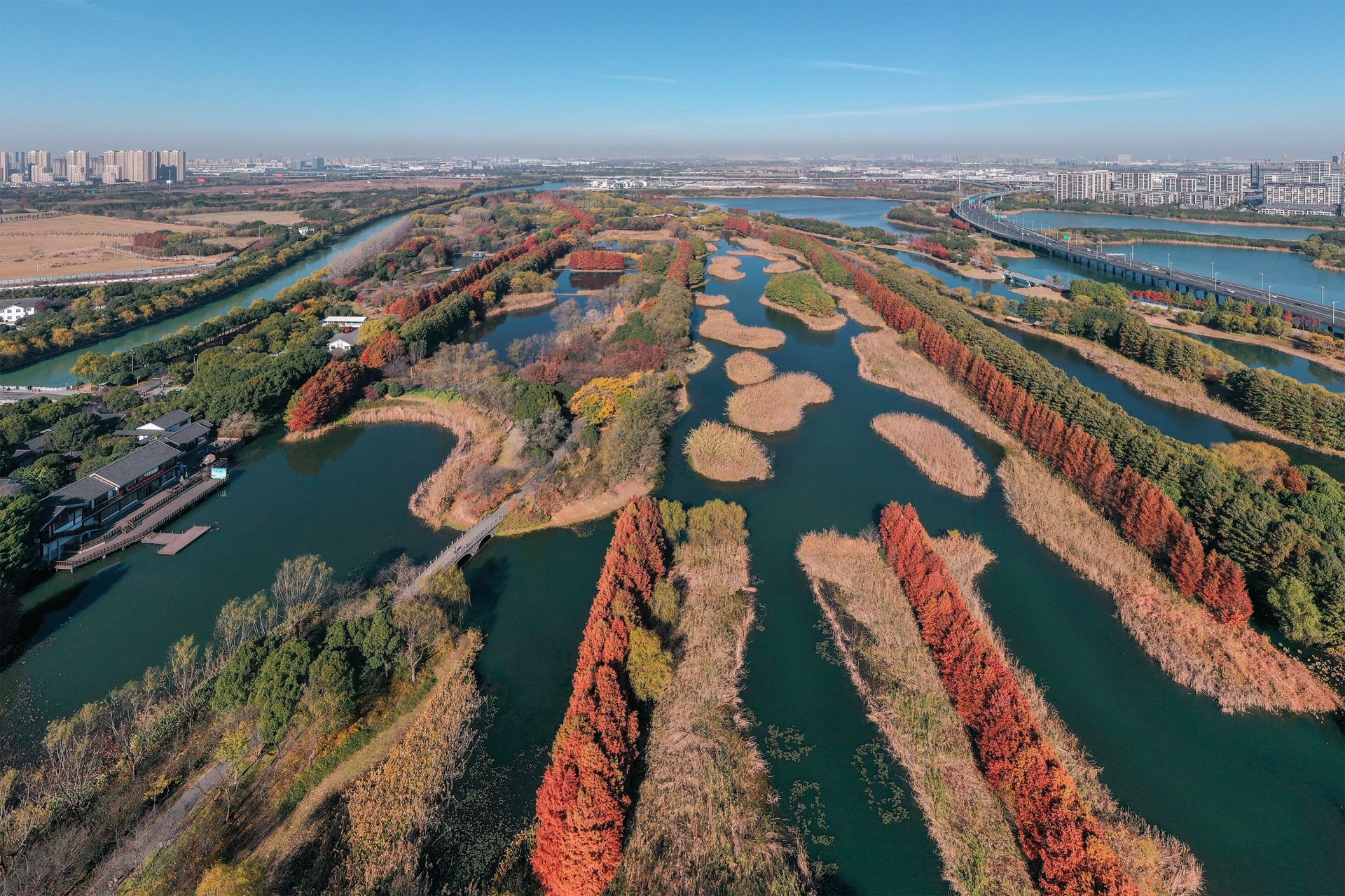 苏州虎丘湿地公园图片