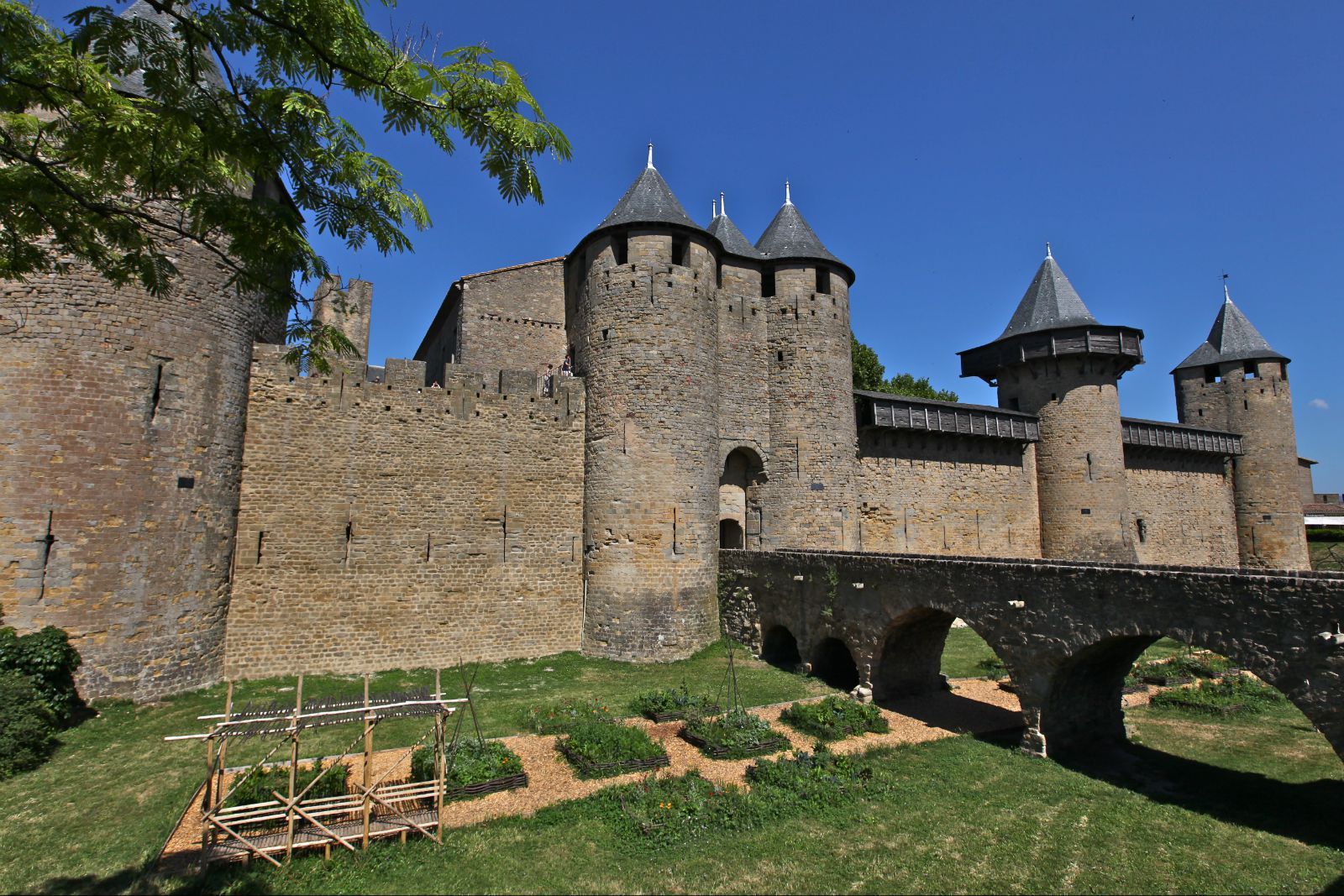 中世纪的法国富豪,为何落得家破人亡的下场?