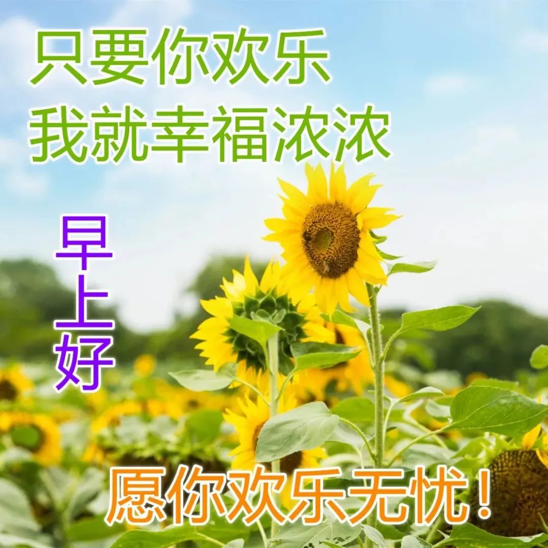 4月3日非常漂亮的早晨好鲜花图片 朋友圈最温馨的早安问候语