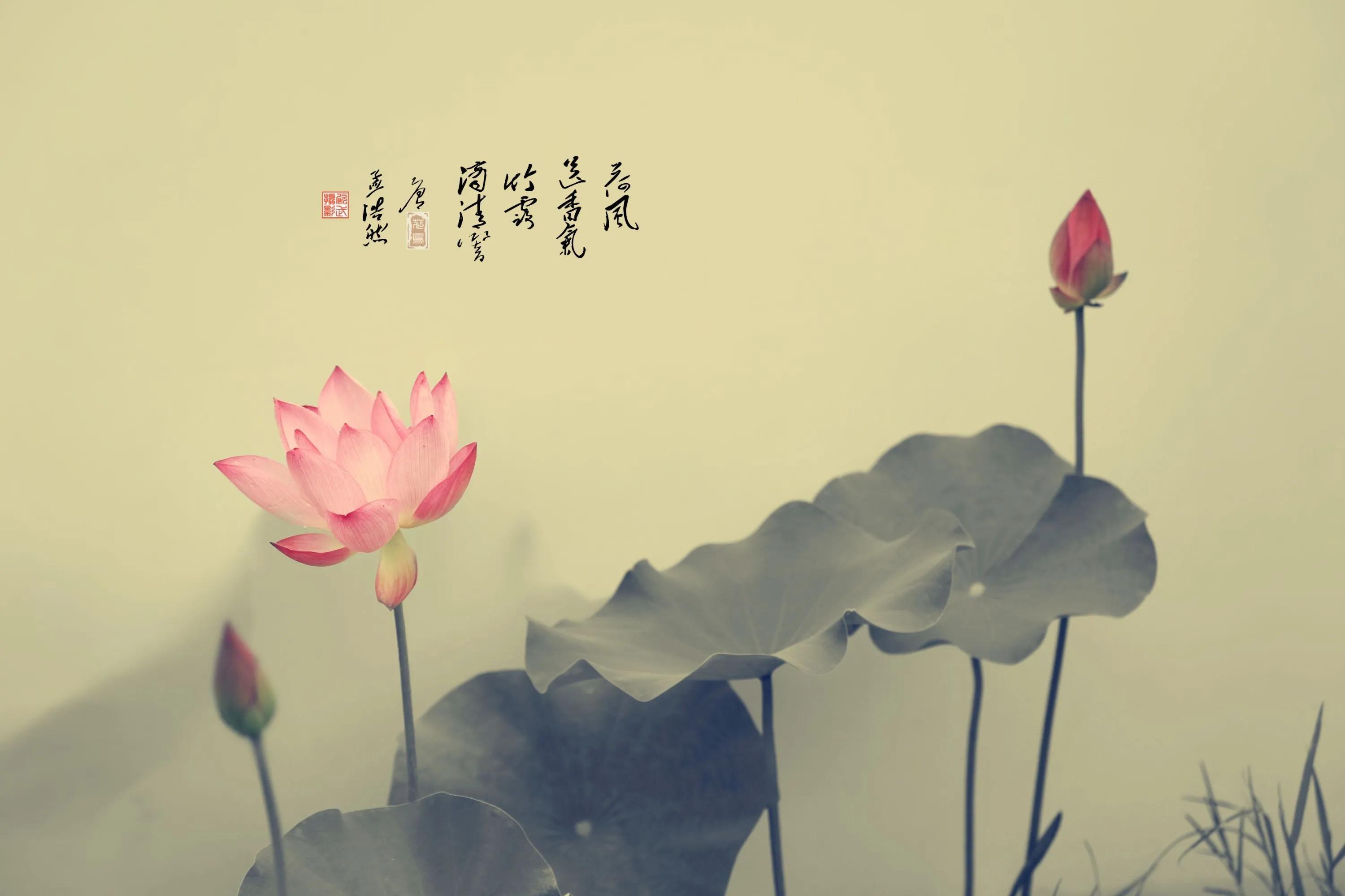 20个唯美静心禅语文案,最佛系极简句子