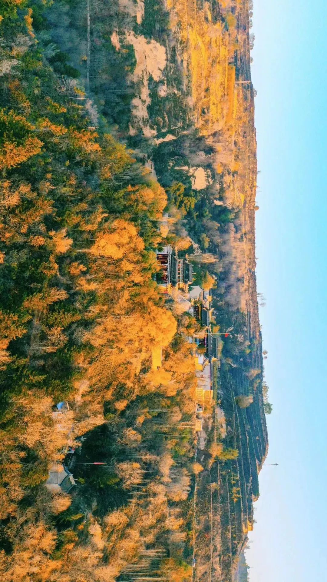 「瞰临夏」秋冬之交,南龙山层林尽染,大自然的调色板!