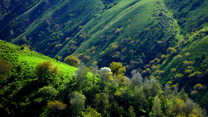 新疆巩留县旅游景点