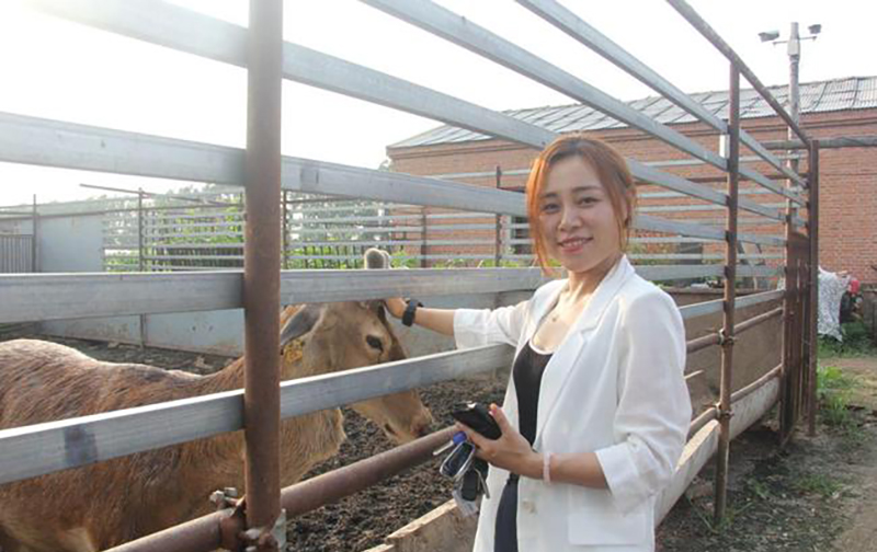 吉林90后美女王娇,接手亏损的梅花鹿场,低投入换来4000万高收益
