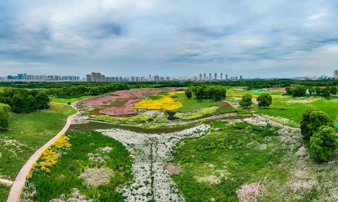 苏州湾体育公园全景图图片