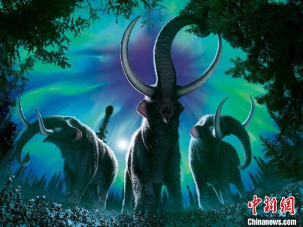 美洲乳齿象灭绝前如何应对气候变化?最新研究称曾向北迁徙