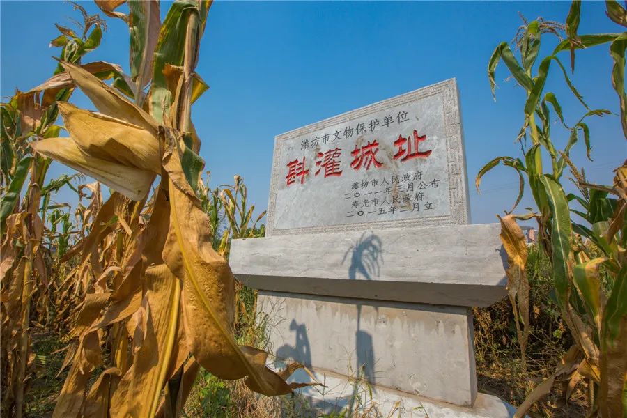 潍坊列国:夏都斟灌,商周纪国,寿光出土的神秘符号影响过德国?