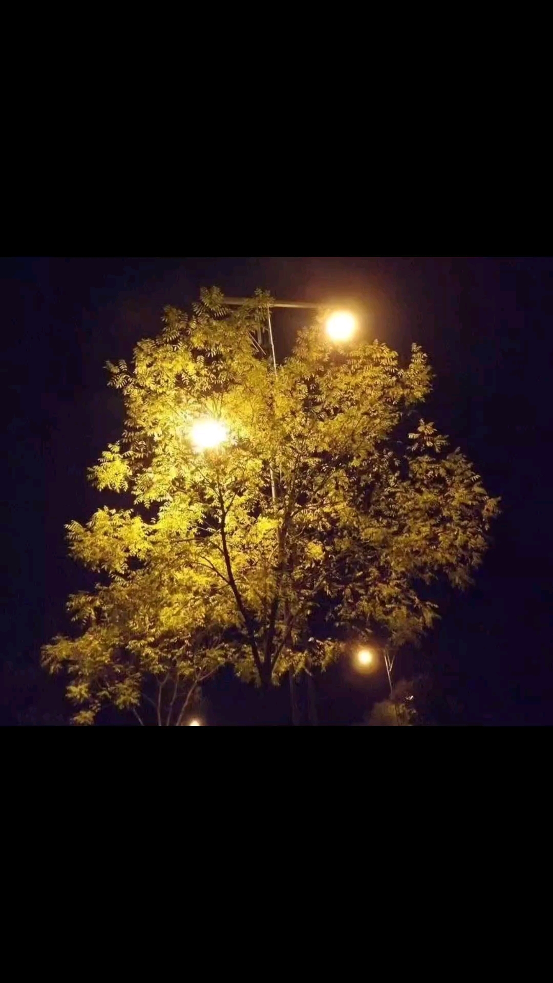 享受这黑夜带来的寂静.