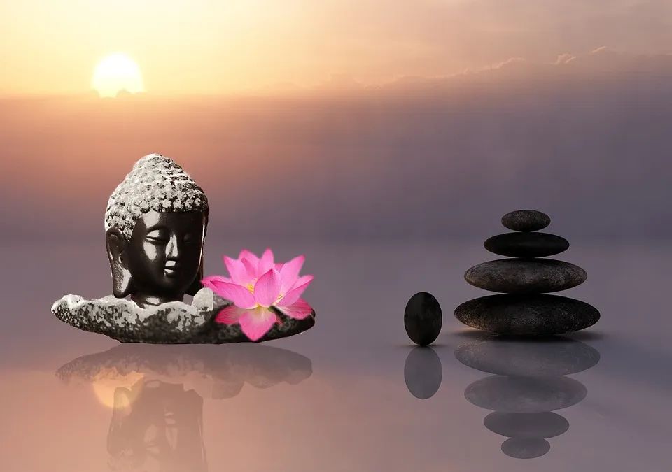 余生,来去随意,悲喜随心