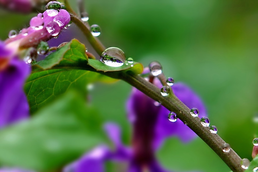 春雨贵如油,春雨织春愁,幸福,无关风月,只是心灵的一种感受