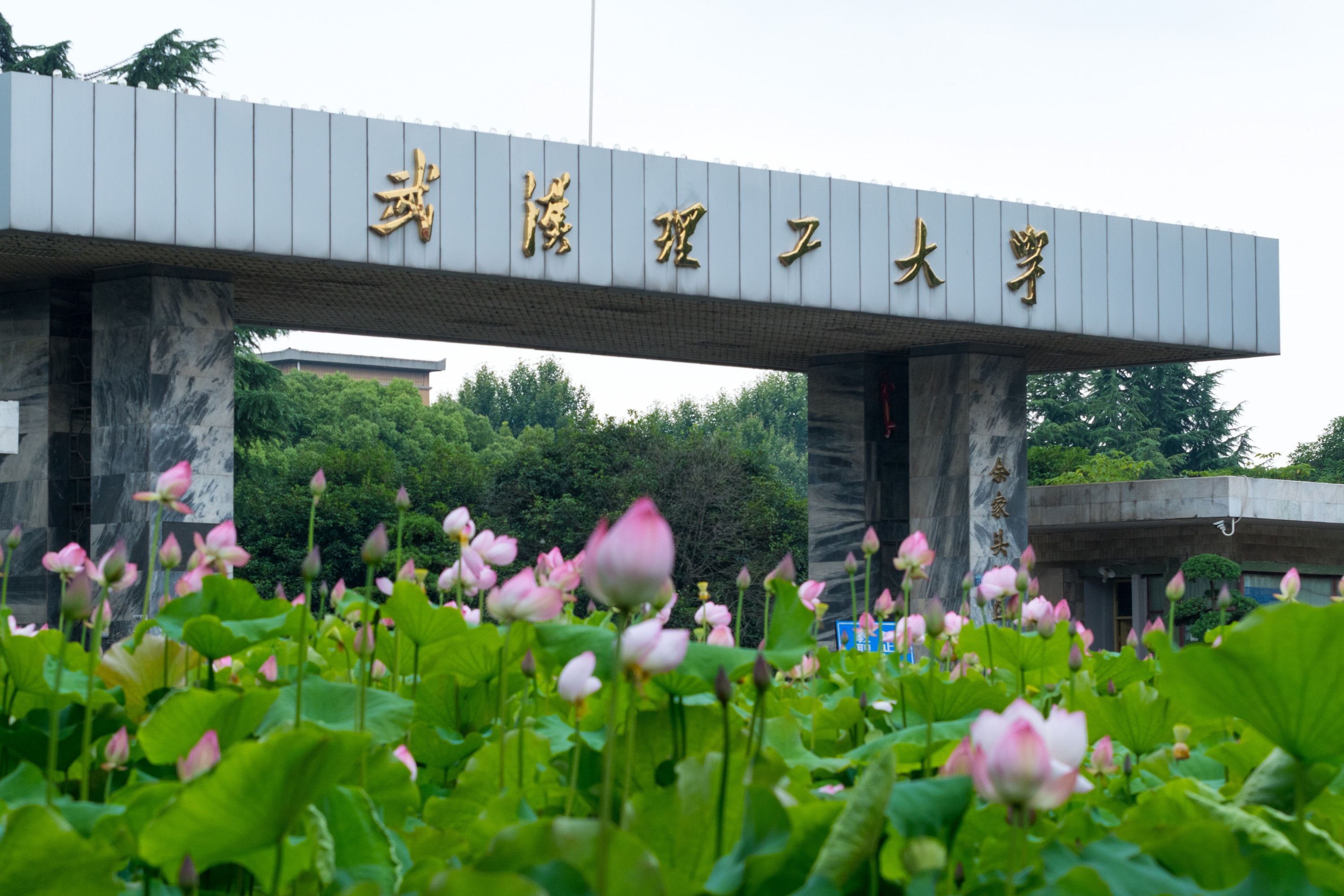 武汉理工大学校园风光图片