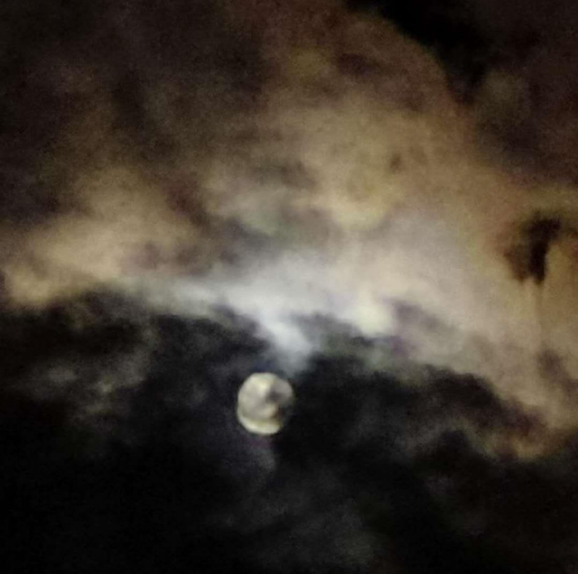 酬酢五首——吕华信,余建华