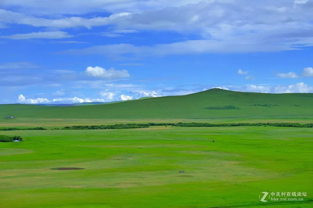 一起来看看美丽辽阔的大草原吧